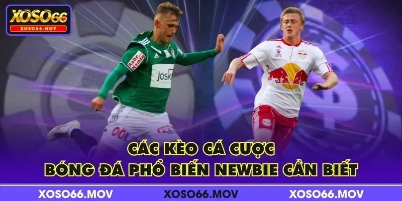 Các kèo cá cược bóng đá phổ biến newbie cần biết