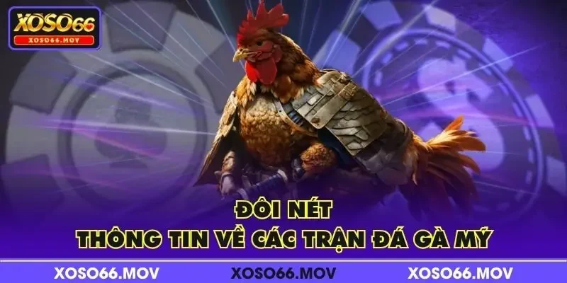 Đôi nét thông tin về các trận đá gà Mỹ