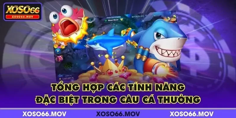 Tổng hợp các tính năng đặc biệt trong Câu Cá Thưởng